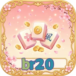 br20